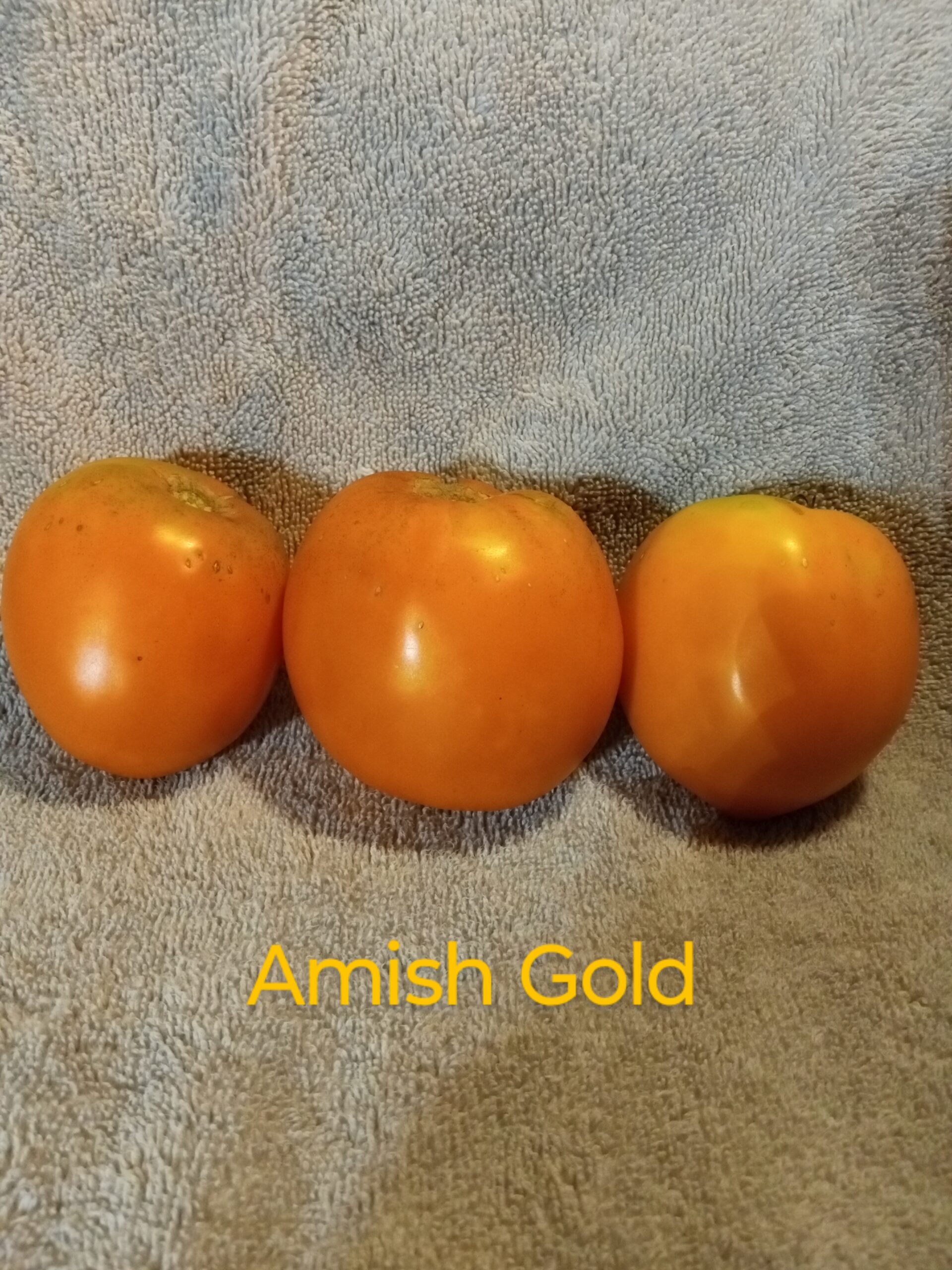 Amish Gold Slicer