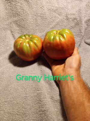 Granny Harriet's - Image 3