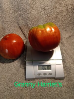 Granny Harriet's - Image 4