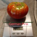 German Pink