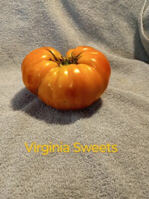 Virginia Sweets - Image 3