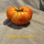 Virginia Sweets