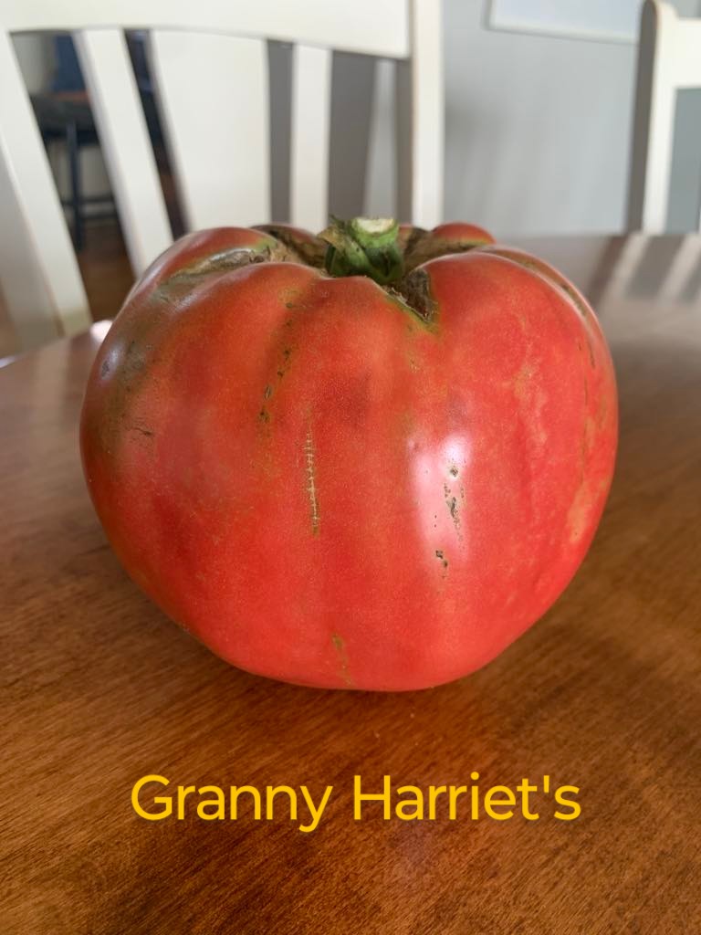 Granny Harriet’s