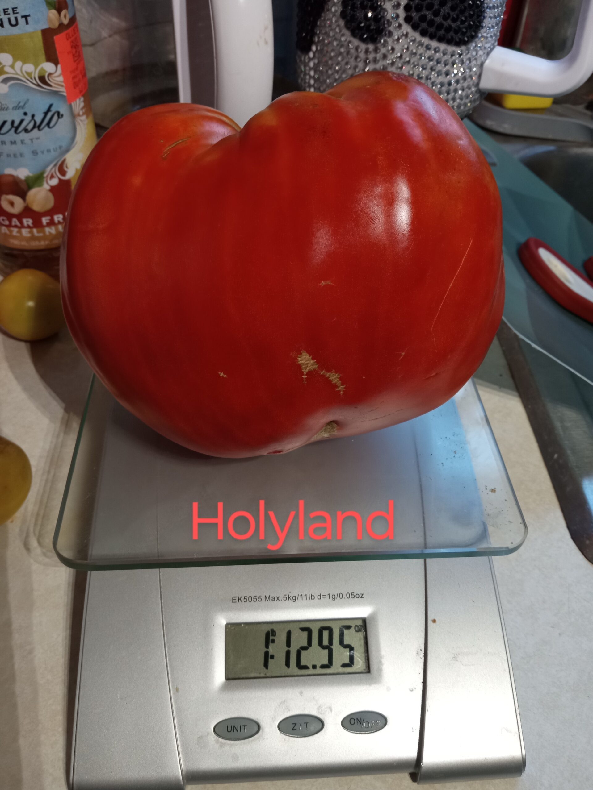 Holyland (Red) - Image 5