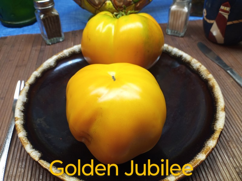 Golden Jubilee