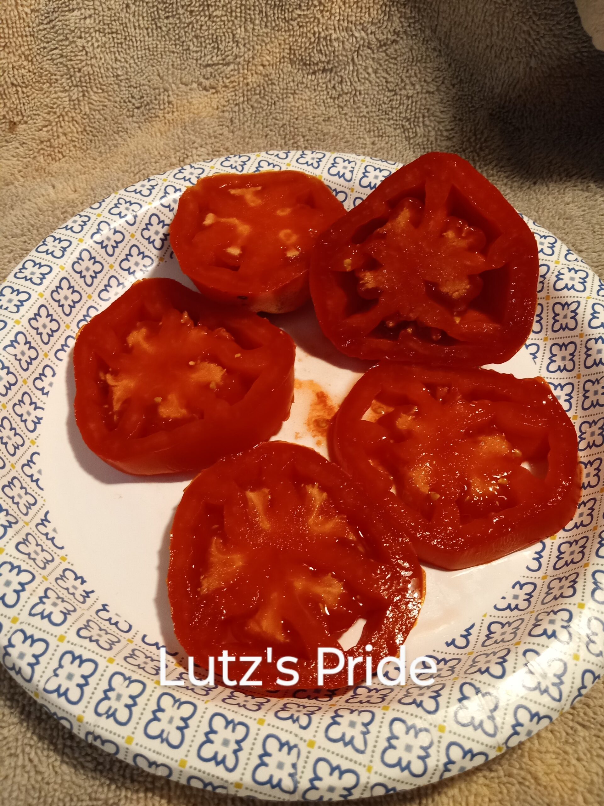 Lutz's Pride - Image 3